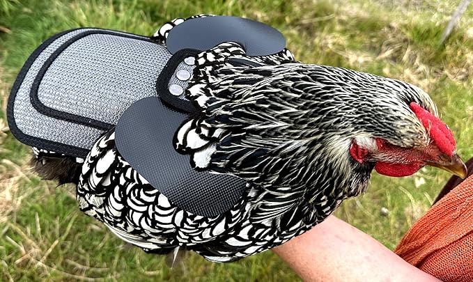 DOWN UNDER OUTDOORS Chicken Saddle with Adjustable Straps for Medium and Large Hens, Chicken Apron, Poultry Saver, Pet Supplies, Including Shoulder Cover (Grey Mesh)