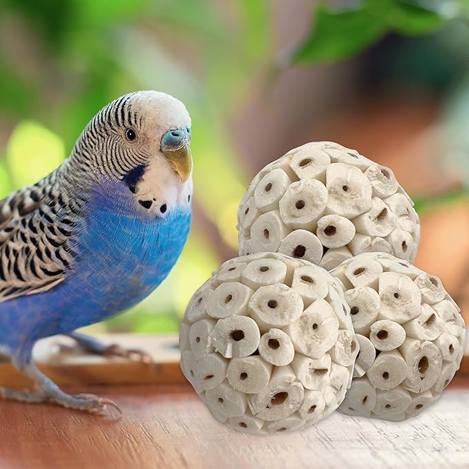 5104 Small Sola Bird Balls Pk4 - Handcrafted Foraging Bird Foot Toys, Natural sola Wood Balls, Crafted from air Dried Pieces, Lightweight, Breaks Apart, Versatile, Great for Small & med Size bids