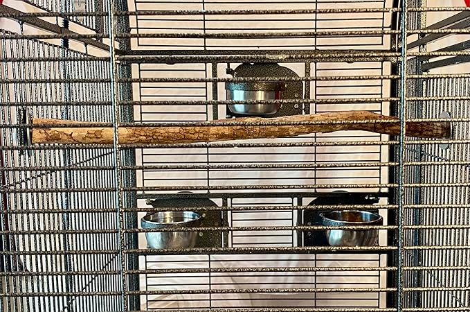 Polly's Full Length Hardwood Cage Perch for Parakeets, Cockatiels, Cockatoos, Macaws, and Other Birds (30")