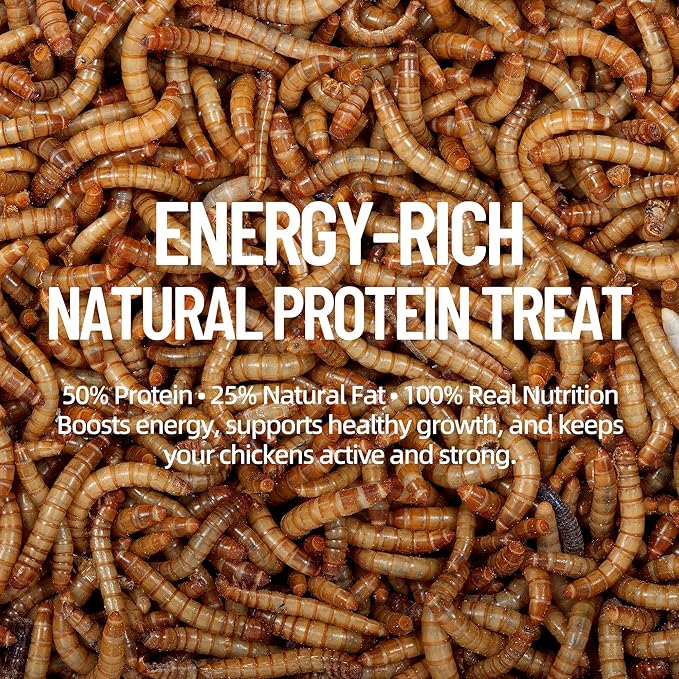 30LB Premium Non-GMO Dried Mealworms - High-Protein Natural Feed & Chicken Treats for Chickens, Ducks, Wild Birds, Quails & Reptiles - Support Egg Production & Feather Growth