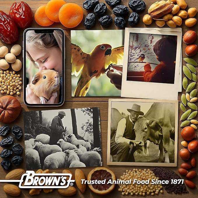 Tropical Carnival Brown’s Gourmet Macaw Bundle (2) Gourmet Macaw Big Bites Food for Big Beaks 14lb and Fruit & Nut Big Bites Treats. 10oz