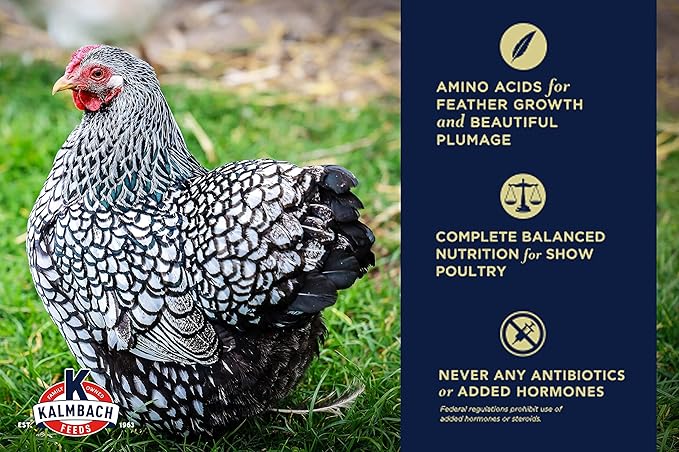 Kalmbach Feeds 24% Starter Crumble for Showbirds and Gamebirds, 5 lb Bag