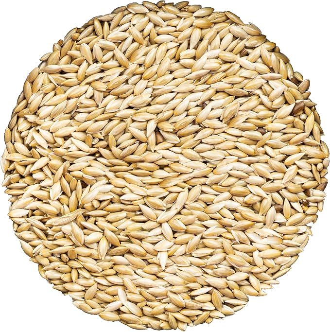 Unida Alpiste Canary Seed for Birds – 10 lbs Bulk Bird Food, 100% Pure & Natural, Non-GMO Bird Seed, No Additives