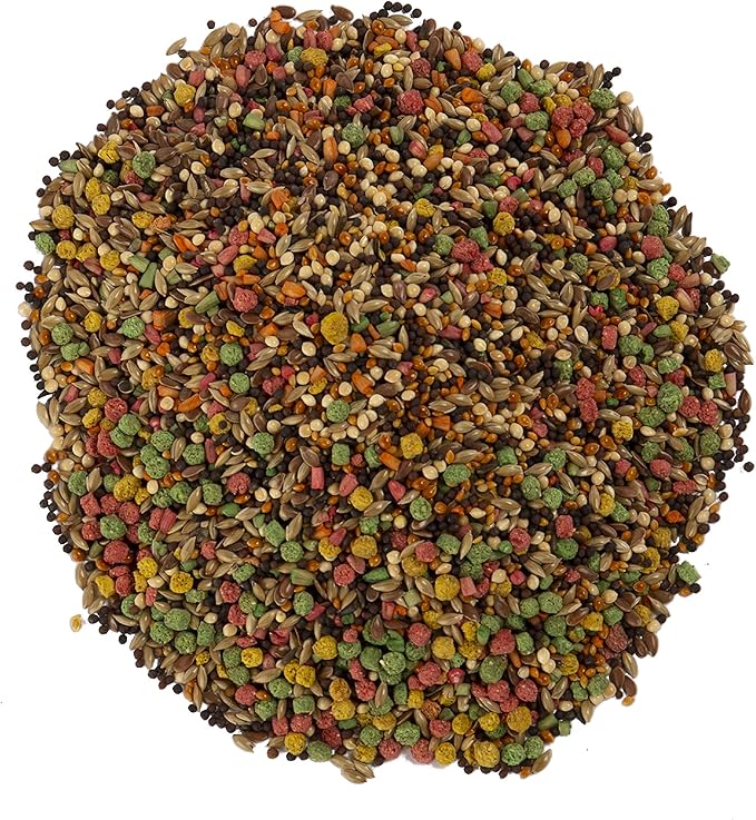 Wild Harvest Canary and Finch Food, 2 Pound | Pack of 4