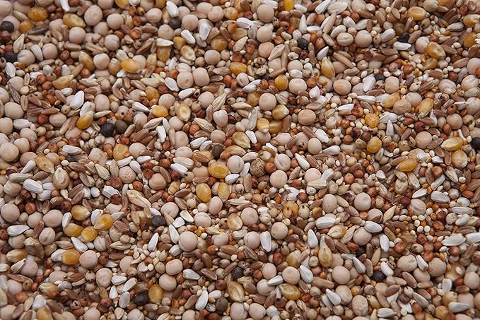 Tumbler Pigeon Mix (14%) 20 lbs