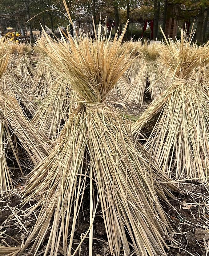2Pcs Handmade Woven Flat Base Straw Bird Nest Breeding Nest Hatch House Cage for Pigeons, Russet Chickens, Chicks, Doves and Other Medium-Sized Birds.Made Entirely from Natural Straw.