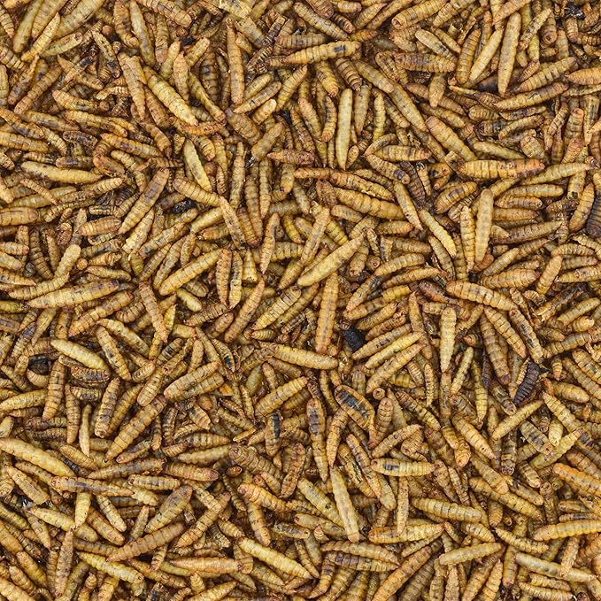Worm Nerd WN63 5LB Dried Black Soldier Fly Larvae Non-GMO High Protein and Calcium Treat for Chickens, Birds, Reptiles, Amphibians, Fish