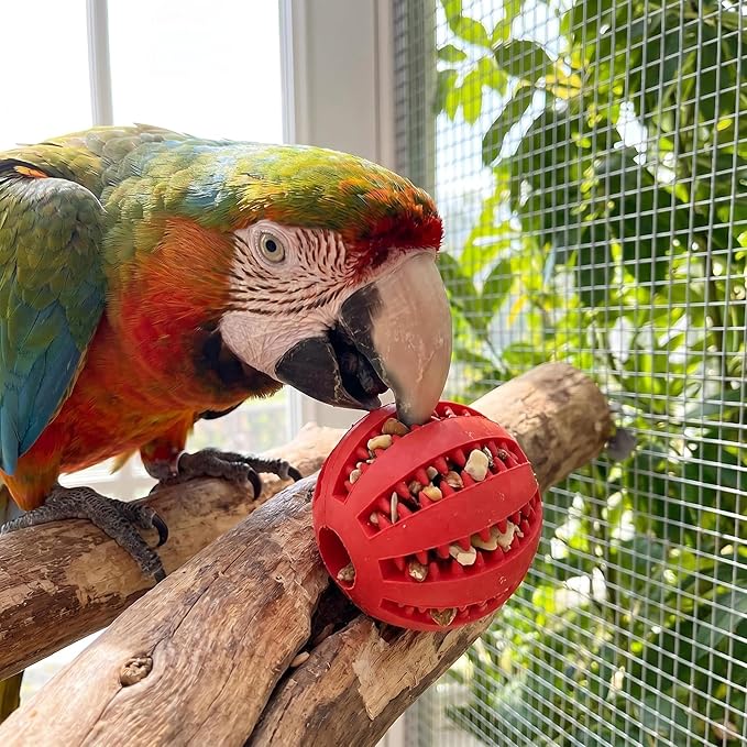 4 Pcs Parrot Feeder Chew Toy Balls, Bird Foraging Interactive Toys for Small & Medium Birds, Parakeet, Parrots, Lovebirds, Macaws, Hamsters, Guinea Pigs