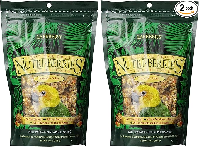 LAFEBER'S (2 Pack) Gourmet Tropical Fruit Nutri-Berries for Conures 10-Ounce Bag
