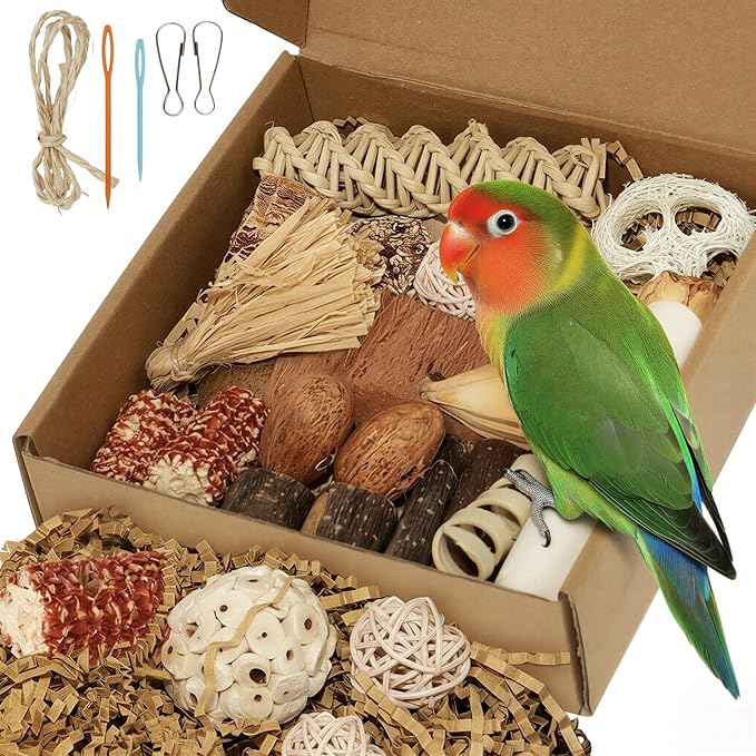 Bird Toys Parrot Natural Foraging Box Parakeet Toys DIY Hanging String for Cockatiels,Conures,Love Birds,and Other Small to Medium Birds Cage Accessories (Medium)