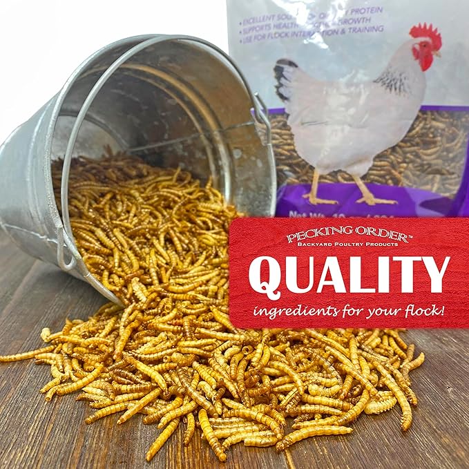 Pecking Order Dried Mealworms - 10 oz