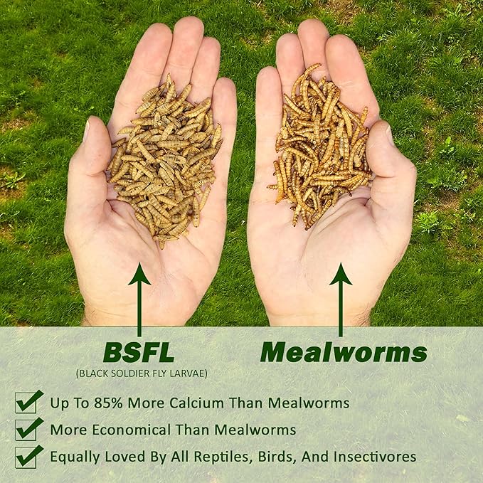 Exotic Nutrition 60 LB Bulk Dried Black Soldier Fly Larvae - High-Calcium Insect Treat - Chickens, Wild Birds, Bluebirds