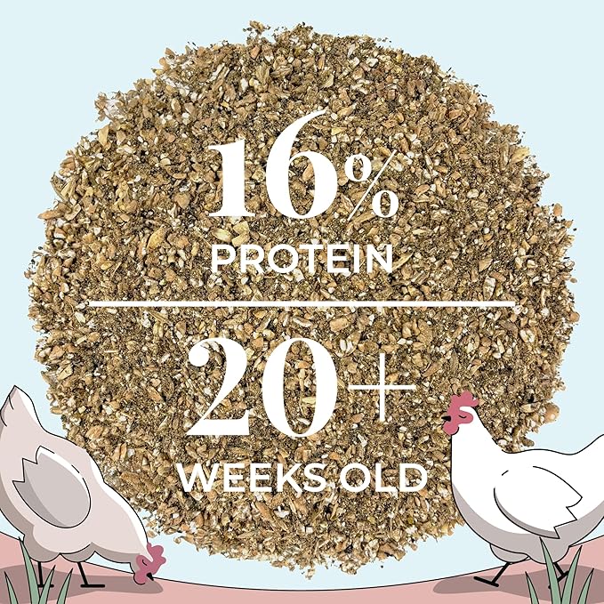 Mile Four Organic Chicken Feed (46 lbs) Layer Mash, Non-GMO, USA Grown, 16% Protein, Corn-Free, Soy-Free, Non-Medicated Feed for Chickens