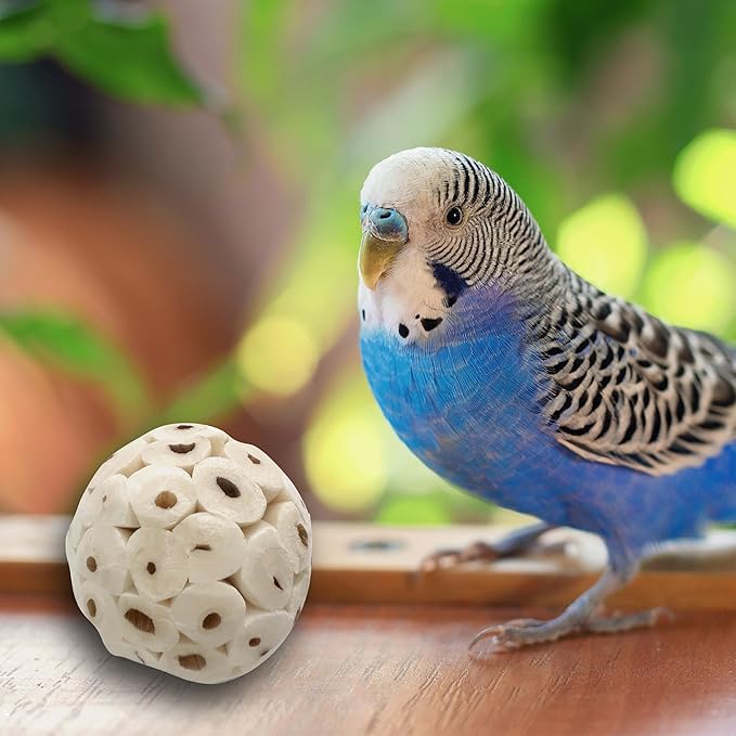5124 Mini Sola Balls Pk18 - Handcrafted Soft sola Wood Bird Foraging Foot Toys, Small Size chewable Balls, Lightweight, Conditions Beaks and feet, Delightful for Small Size Pet Birds