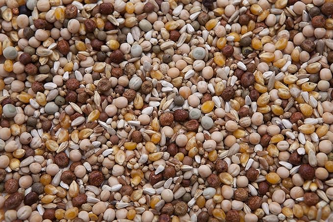 King 45 Pigeon Mix (17%) 8 lbs