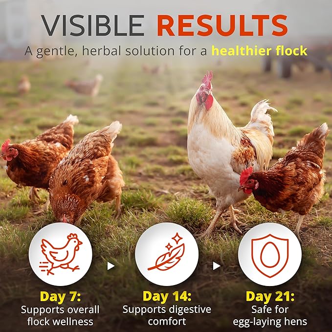 Buff Clucks WormStop Natural Chicken Dewormer Powder – All-Natural Herbal Blend for Daily Wellness - Chicken Wormer is Safe for Eggs & All Ages - Garlic, Pumpkin Seed, Wormwood - USA (8 oz)