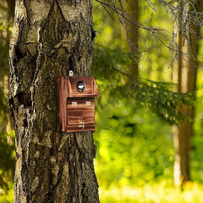 Cleaning Flap Bird Nesting Box with Burnt Effect for Outdoors