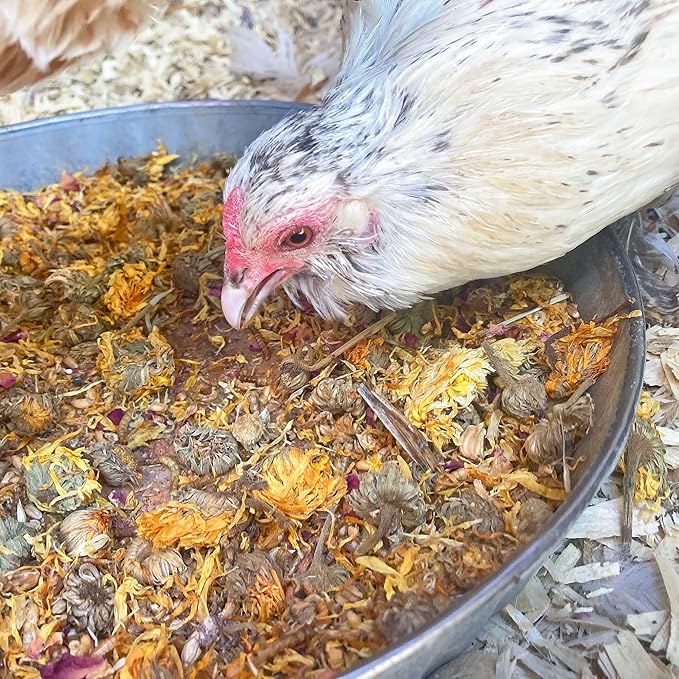 Backyard Chicken High Protein Herbal Treat with Dried River Shrimp, Black Soldier Fly Larvae, Mealworms, Basil, Hibiscus Flowers, Rose Petals (PowerHen) (4 pounds)