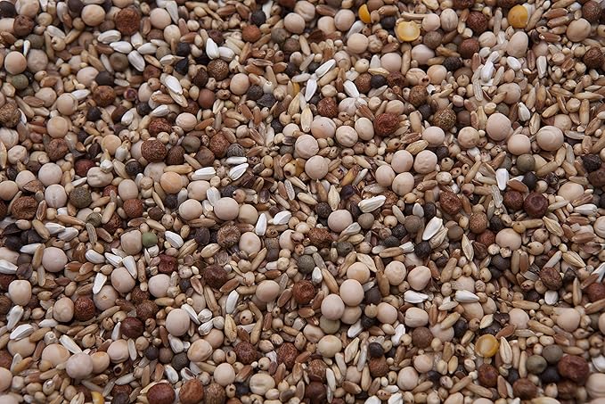 Deluxe No Corn Racer Pigeon Mix (17.5%) 8 lbs