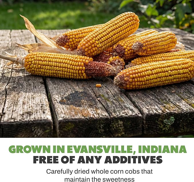 JCs Wildlife Dried Corn on the Cob for Squirrels, Whole Ear Corn Wildlife Feed for Deer Raccoons Rabbits Ducks Geese, Grown in Indiana, Breathable Bag, 14 lb Bags (2 Packs)