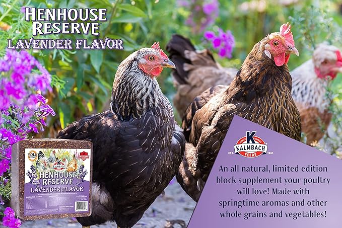 Kalmbach Feeds Henhouse Reserve Lavender Flavored Treat Block for Chickens, 20 lb