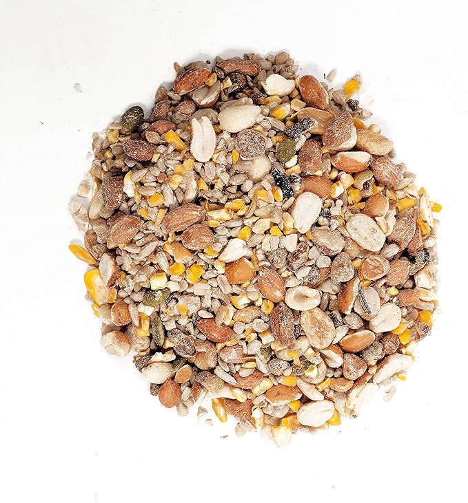 Morning Song Clean & Free Wild Bird Food + Wagner's Waste Free Gourmet Bird Food