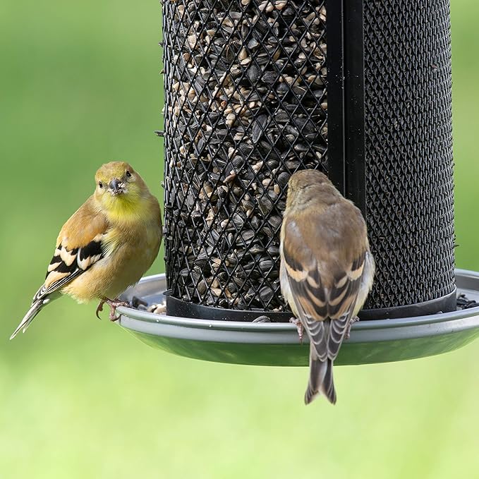 Perky-Pet Dual Mesh Wild Bird Seed Feeder - Holds up to 2.85 lb Wild Bird Seed - Dual Compartment for Seeds and Thistle - TSS00349