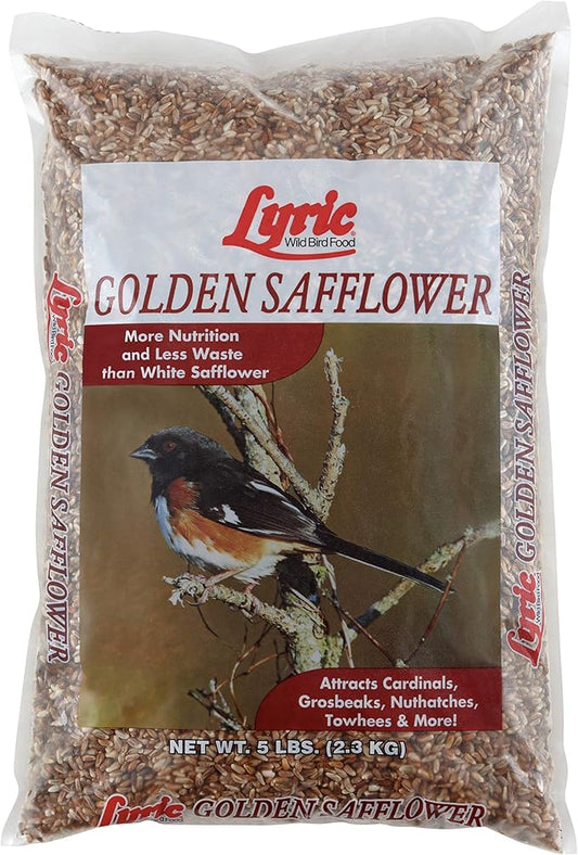 Lyric Golden Safflower Bird Seed for Outside Feeders - Attracts Cardinals, Chickadees, Woodpeckers & More, 5 lb Bag