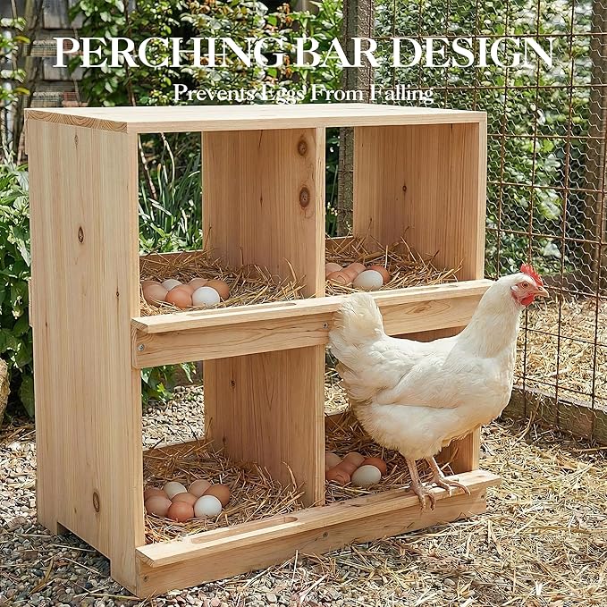 Wooden Chicken Nesting Box, Double-Deck with 4 Compartments, Wall-Mounted or Ground-Placed Nesting Box for Hens with Egg-Roll-Proof Design, Egg Collection Design, Perch, Natural Wood, Sun-Proof