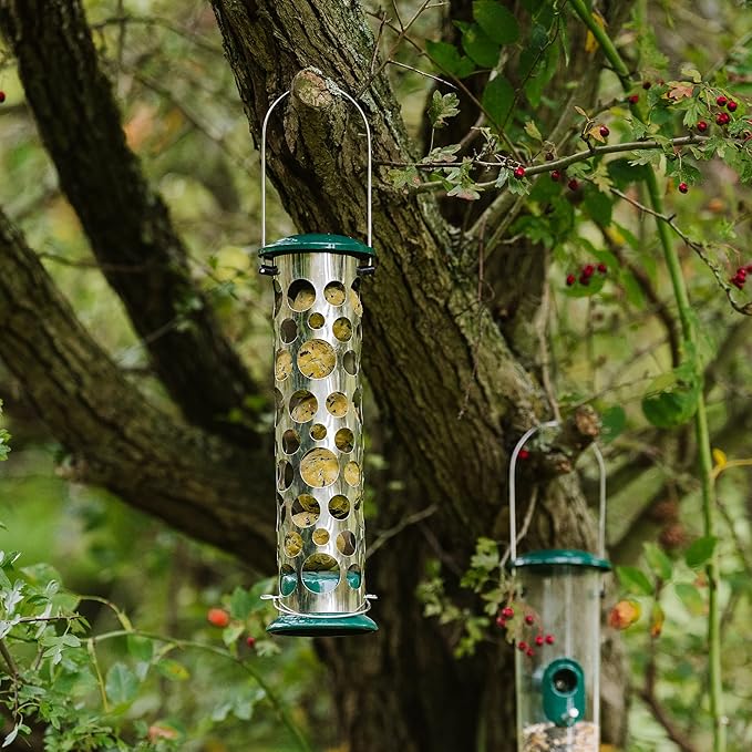 Peckish 60053043 All Weather Metal Energy Suet Fat Ball Bird Feeder, Large, Green