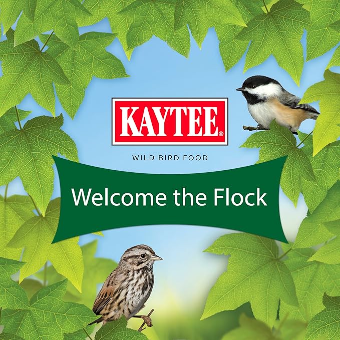 Kaytee Wild Bird Food Basic Seed Blend, 5 lb
