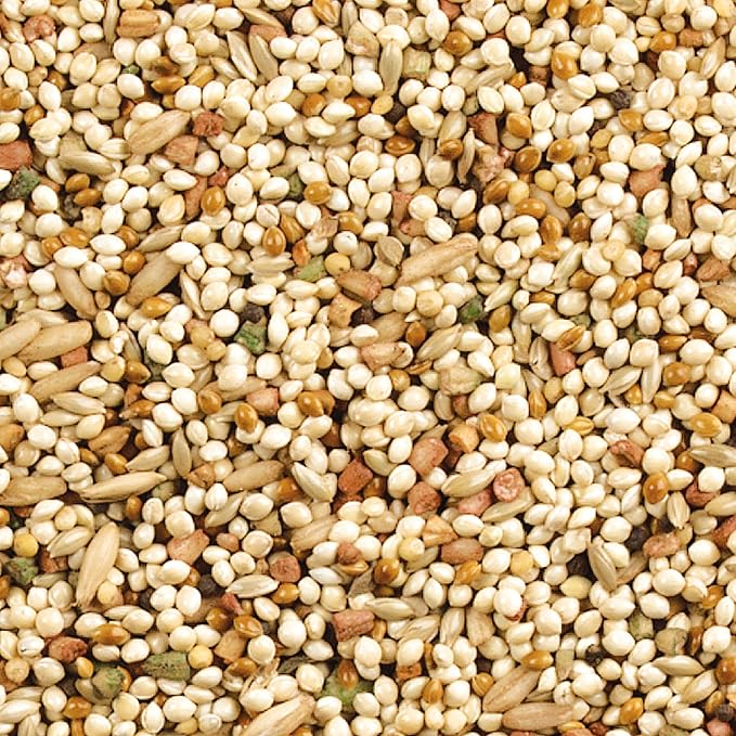 Wild Harvest Daily Blend Nutrition Diet for Parakeet, Canary and Finch 10 Pounds, Orange flavour