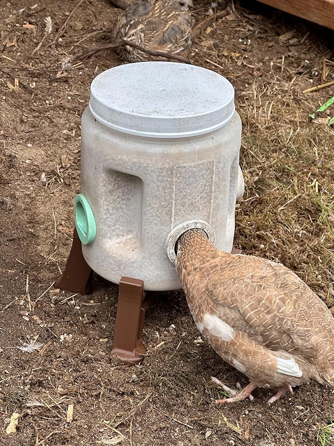 Quail Feeder Container with Feeding Ports and Stand | Ports are 3D Printed | Made in USA (4-Quart, Mint Green)