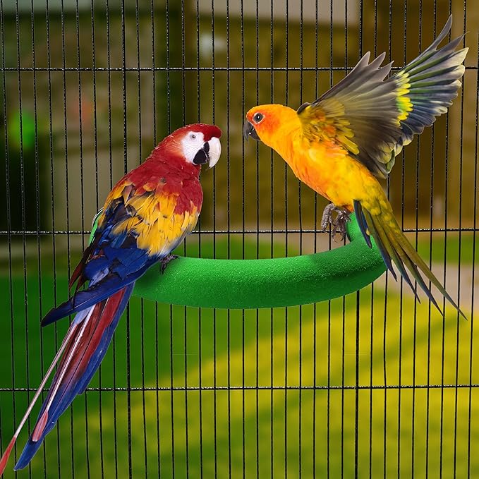 FrgKbTm U Shape Parrot Perch Stand Toy Bird Platform Sand Paw Grinding Clean Stick Exercise Conure Budgie Cockatiel Cage Accessories (Green)