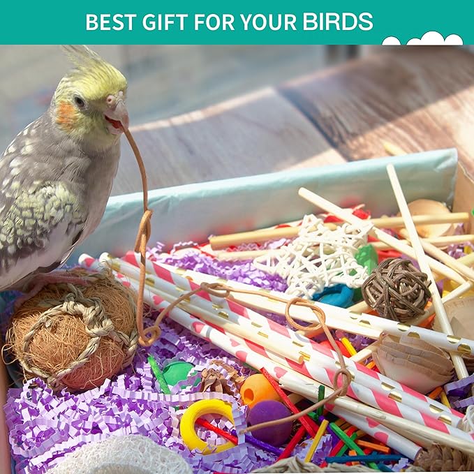 Bird Toys - Natural Foraging & Shredding Box for Parrots | Colorful Chew Toy | Ideal for Cockatiels, Conures, Lovebirds & Small Medium Birds