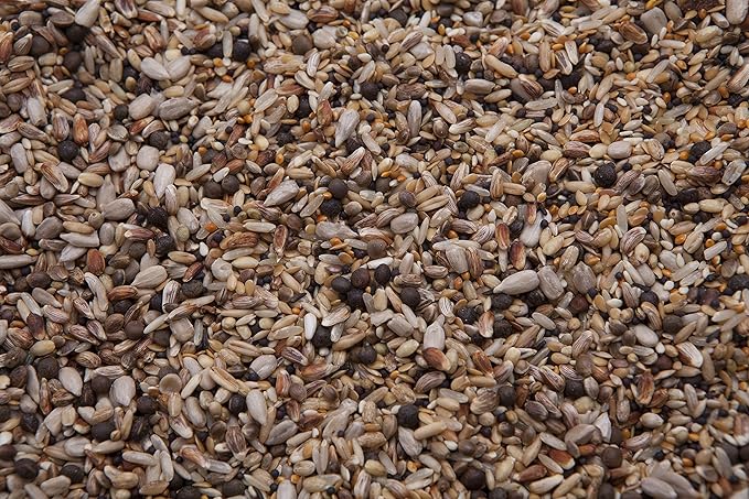 Top Form & Performance Pigeon Treat (18%) 8 lbsF