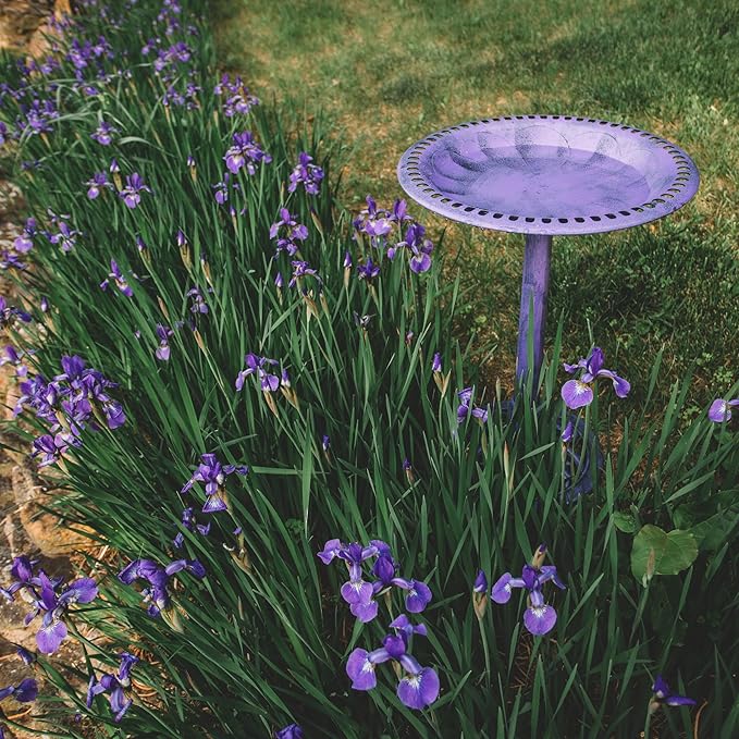 Backyard Expressions Outdoor Garden Bird Bath - Lilac Purple - Weather Resistant Polyresin - 27 Inch