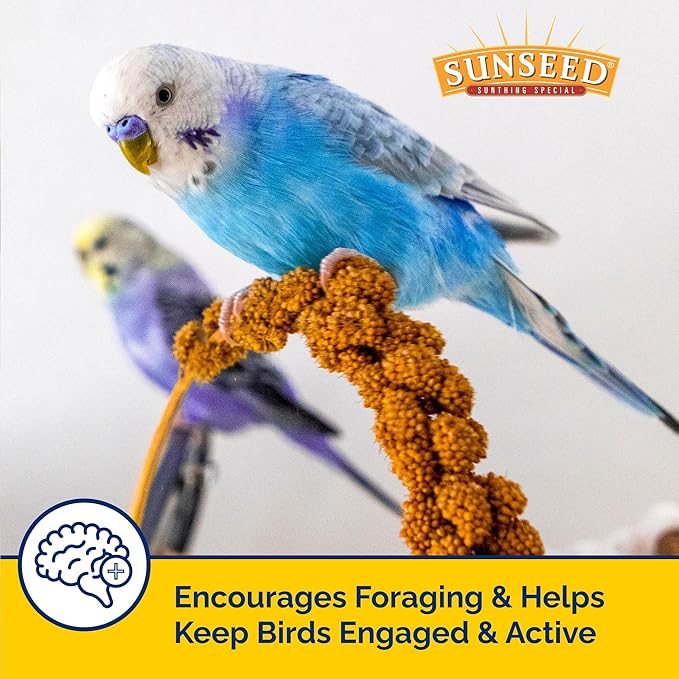 Sunseed Golden Spray Millet Treat for Birds, 21 oz