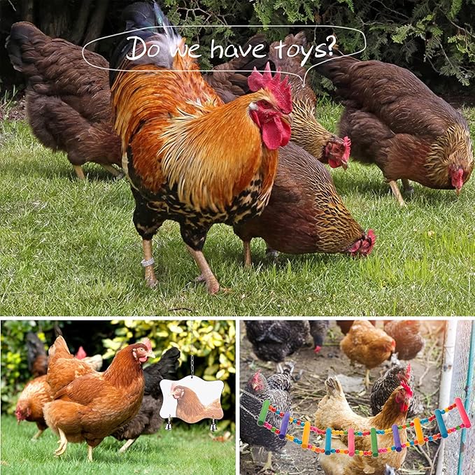 Chicken Toys for Coop 12PCS Set, KAKUNM Chicken Enrichment Toys，Including Xylophone, Swing Set, Mirror Toy, Flexible Ladder, Vegetable String Bag and Hanging Feeder, Coop Accessories for Hens