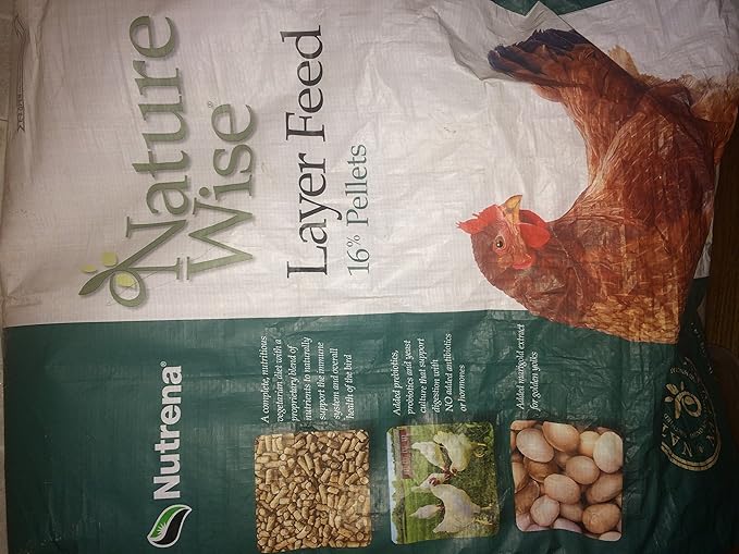 1000ct Live Mealworms, Reptile, Birds, Chickens, Fish Food (Medium)