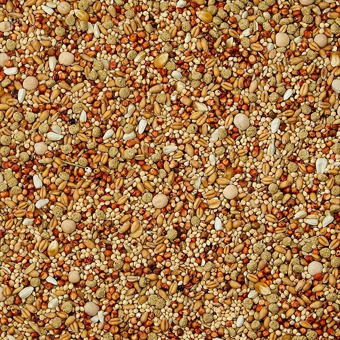 Kaytee Supreme Dove Food, Natural Seed & Grain Blend with Added Vitamins & Minerals, Protein to Support Daily Nutrition, No Artificial Colors or Flavors, 20 Pounds