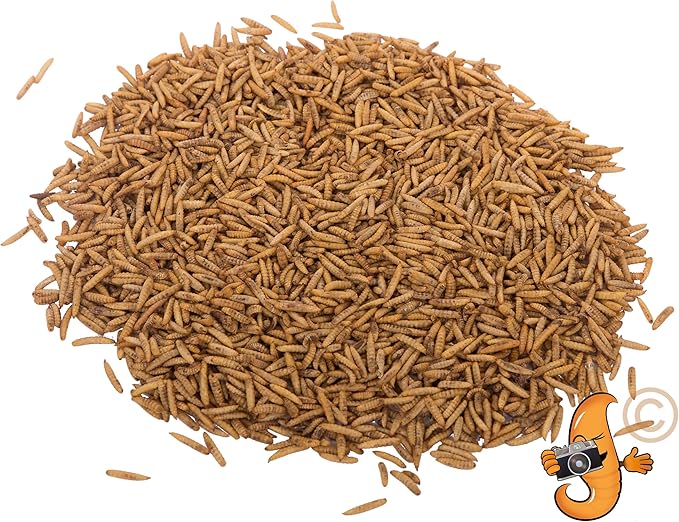 Chubby Dried Black Soldier Fly Larvae | 5 lbs | High Calcium Sustainable Protein Snack for Chickens, Laying Hens, Wild Birds & Reptiles