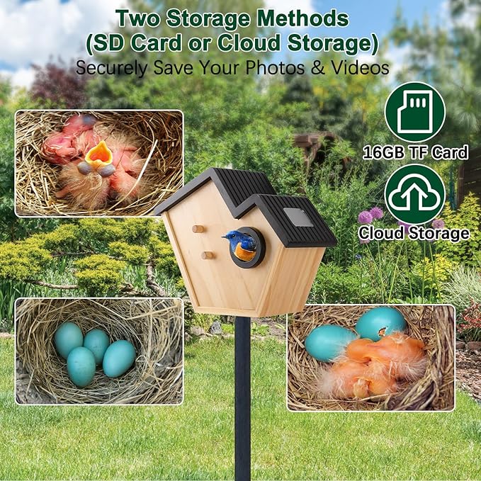 Smart Bird House with Camera Solar Powered,2K HD Birdhouse with Camera Inside,Watch Bluebirds Nesting&Hatching in Real Time,2.4G WiFi & App Notification,Video/Photo Recording,Motion Detection