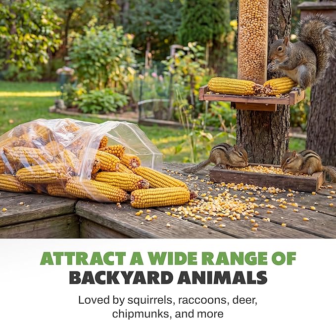 JCs Wildlife Dried Corn on the Cob for Squirrels, Whole Ear Corn Wildlife Feed for Deer Raccoons Rabbits Ducks Geese, Grown in Indiana, Breathable Bag, 14 lb Bags (3 Packs)
