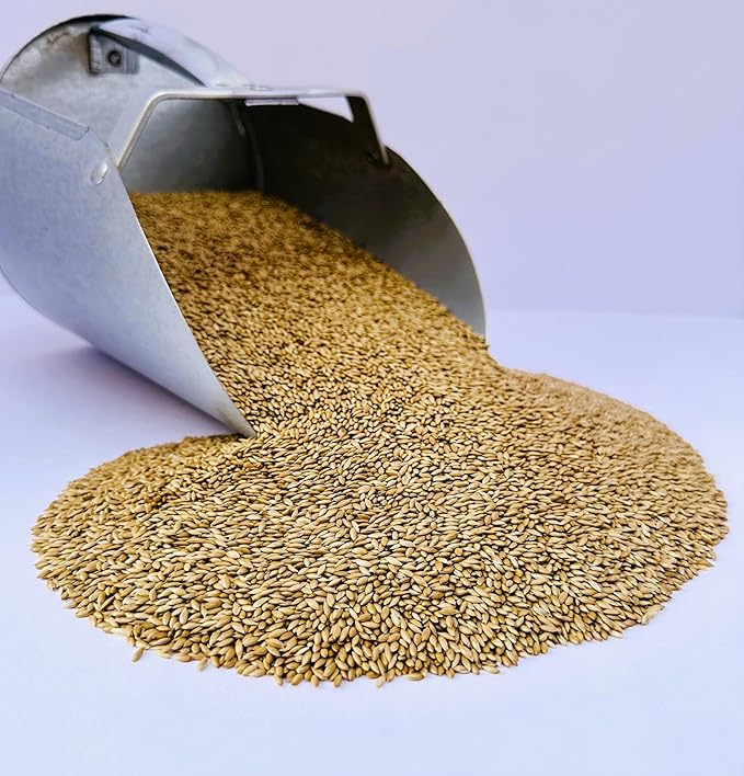 Desert Valley Canary Seed, All Natural, Non-GMO Premium Wild Bird Food for Canaries, Finch, Song Birds, Dove and More (10 Pounds)