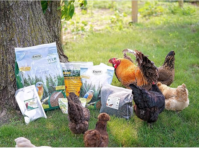 Dried Mealworms - 100% Natural, Non-GMO, High Protein, Bulk Insect Treat for Chicken, Laying Hen, Chick, Wild Bird, Bluebird, Duck, Goose, Turkey, Chickadee, Titmice, Wren, Reptile, Fish (44 lb.)