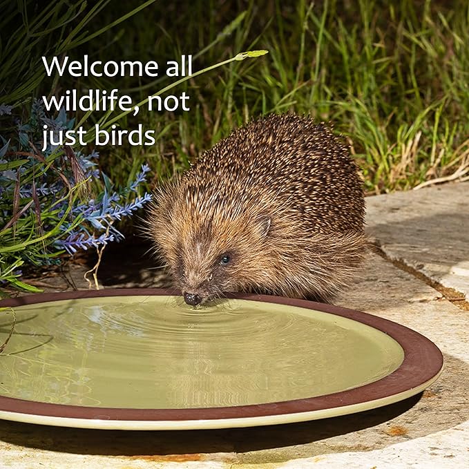 Jacobi Jayne Bird Bath for Garden Birds Anyplace™ Bird Bath - Ceramic Garden Bird Bath and Wildlife Drinker - Perfect Birdbath for Garden. Bird Water Feeder and Bird Bath Bowl. Birdbaths & Supports
