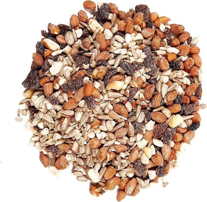 Wagner's 82072 Gourmet Nut & Fruit Wild Bird Food, 5 Pound (Pack of 1)
