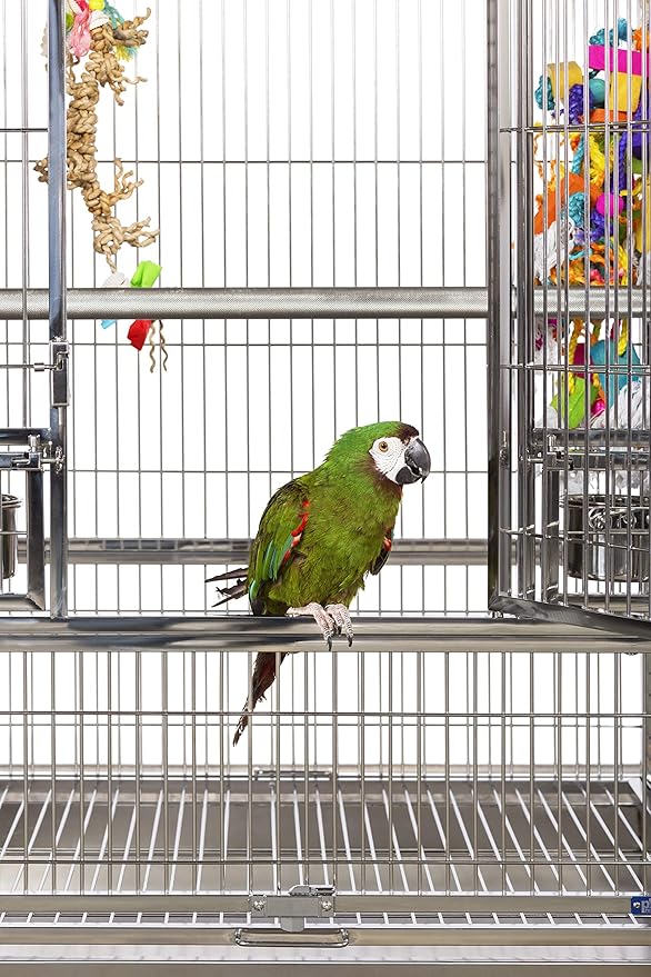 Prevue Pet Products Large Stainless Steel Play Top Bird Cage, Rust Resistant Metal Cage for Birds with Rooftop Ladder and Playtop