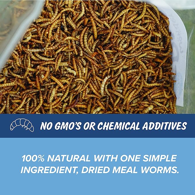Mann Lake Wonder Grubs 5 lb 100% Non-GMO Dried High-Protein Mealworms- 4 Pack for Chicken, Duck, Wild Bird, Fish, Reptiles, Tortoise, Amphibians, Lizard
